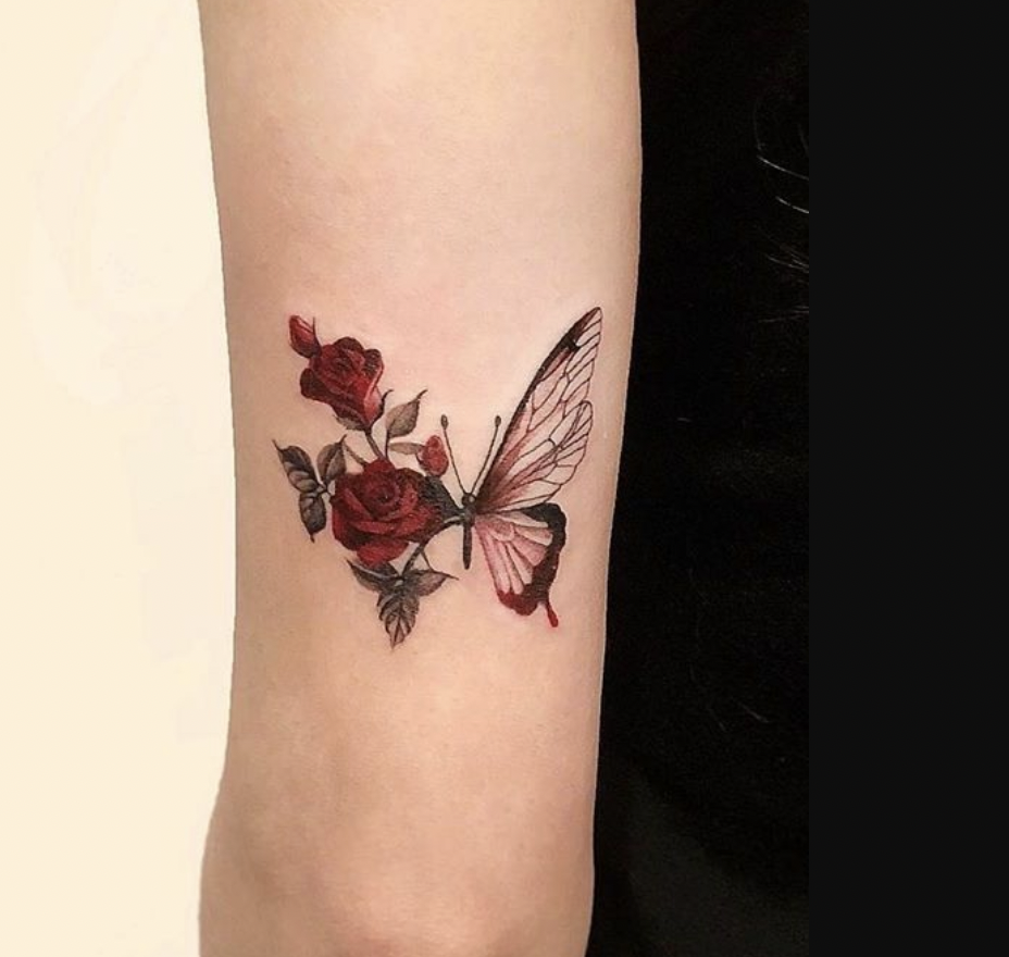 butterfly-with-rose