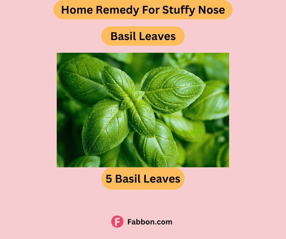 home remedy for stuffy nose7