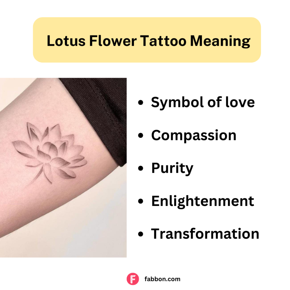 Lotus Tattoo Meaning