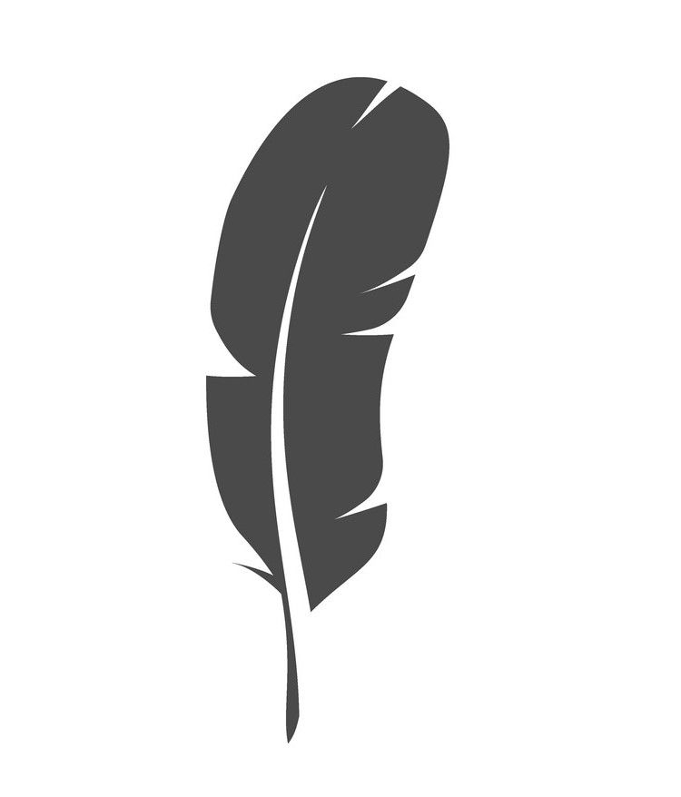 feather-symbol-or-sign-on-white-vector-24591033
