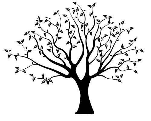 tree-of-life