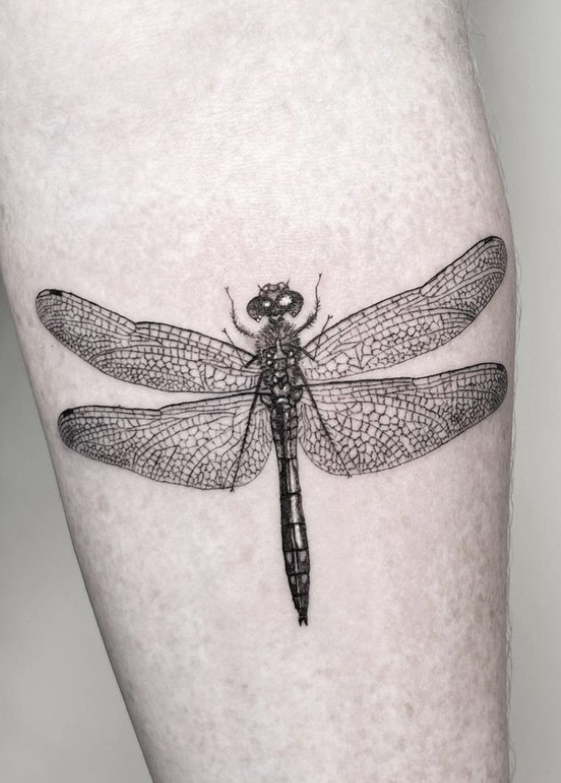 black-dragonfly-tattoo