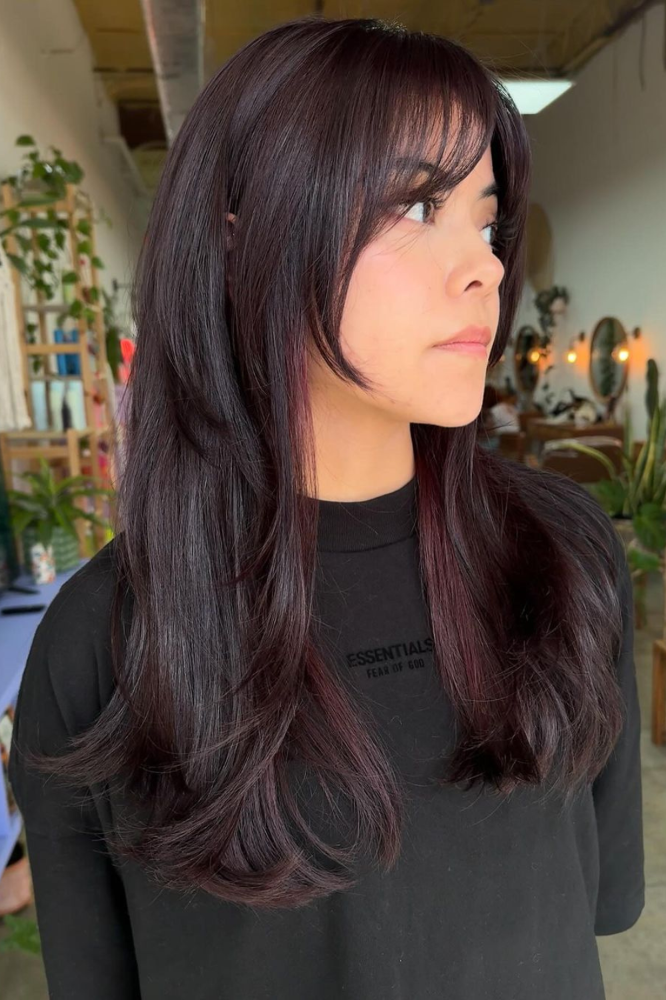 Long-Wolf-Cut-With-Plum-Highlights