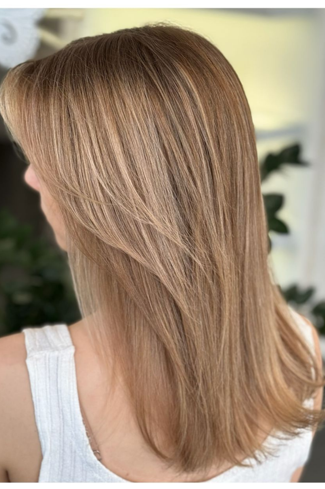 Bronde-Highlights