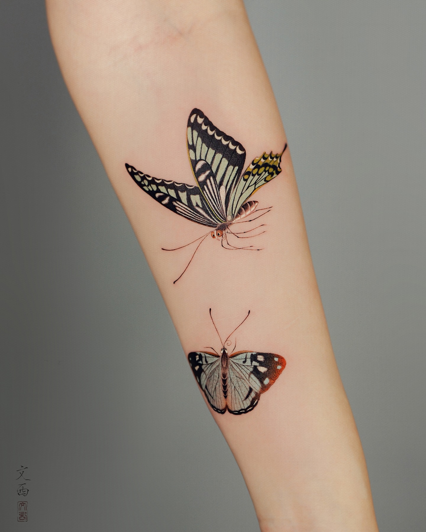 butterfly-on-hands