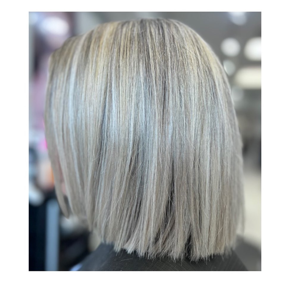 gray-bob
