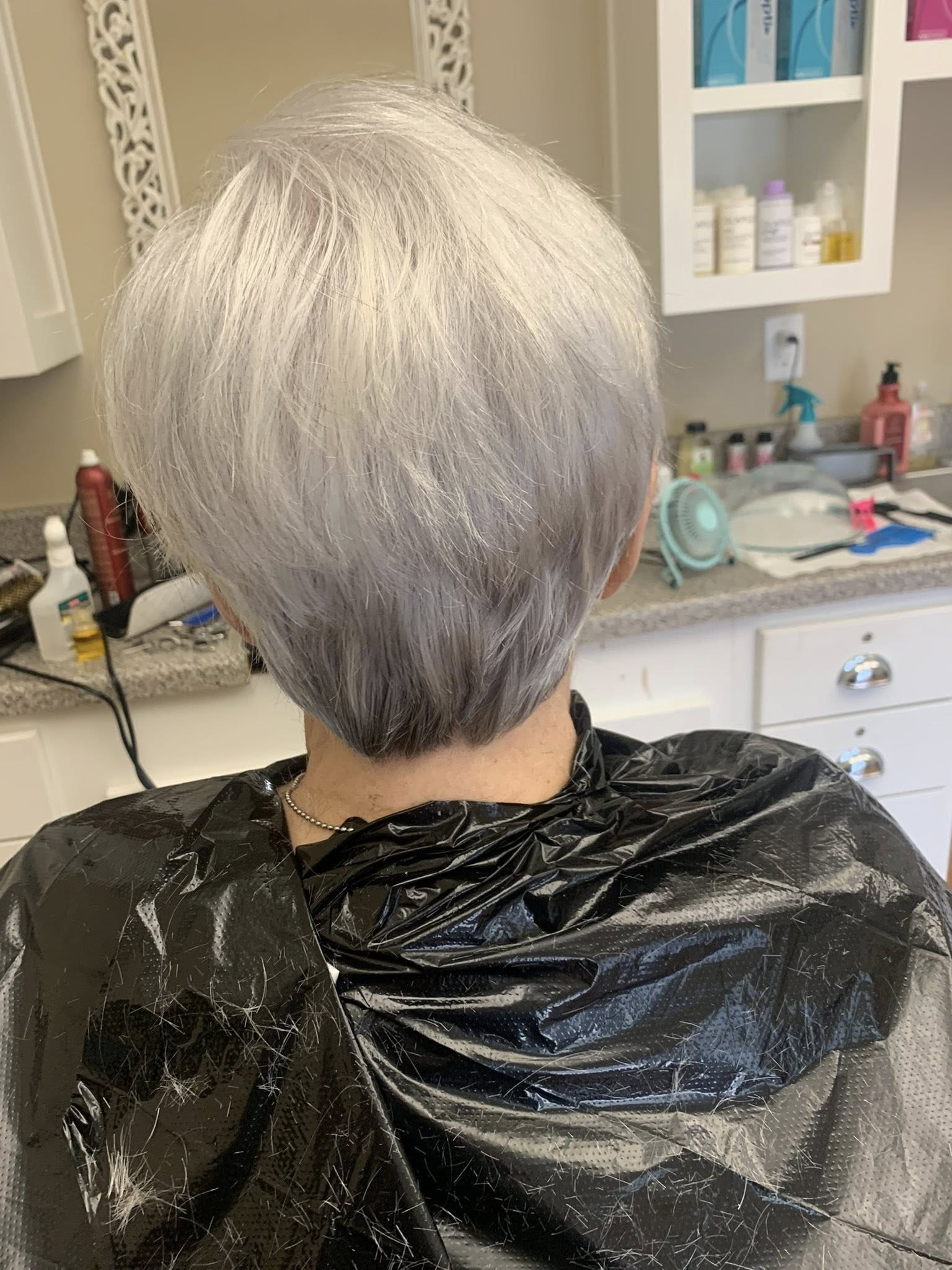 silver-bob