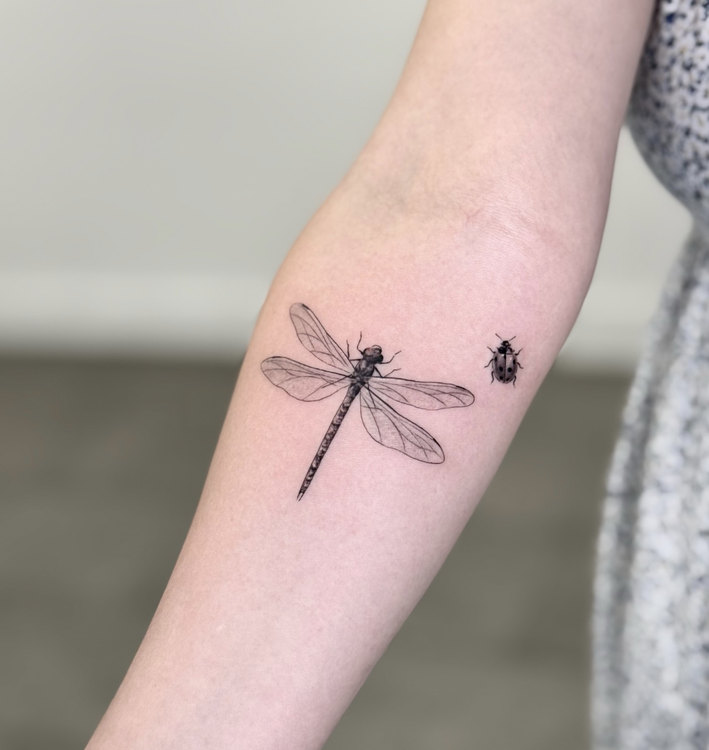 dragonfly-with-ladybird