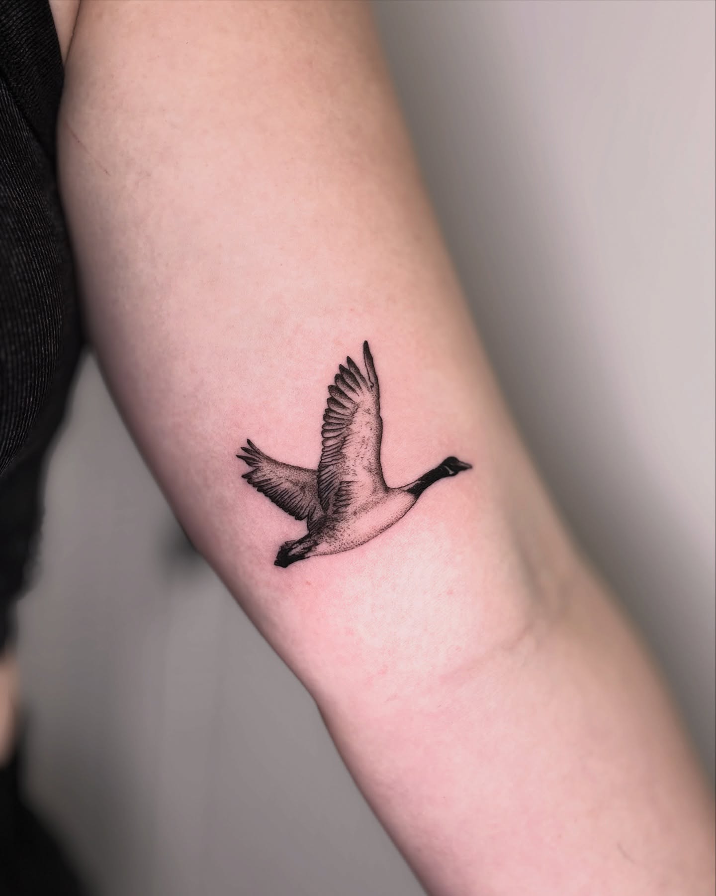 bird-tattoo