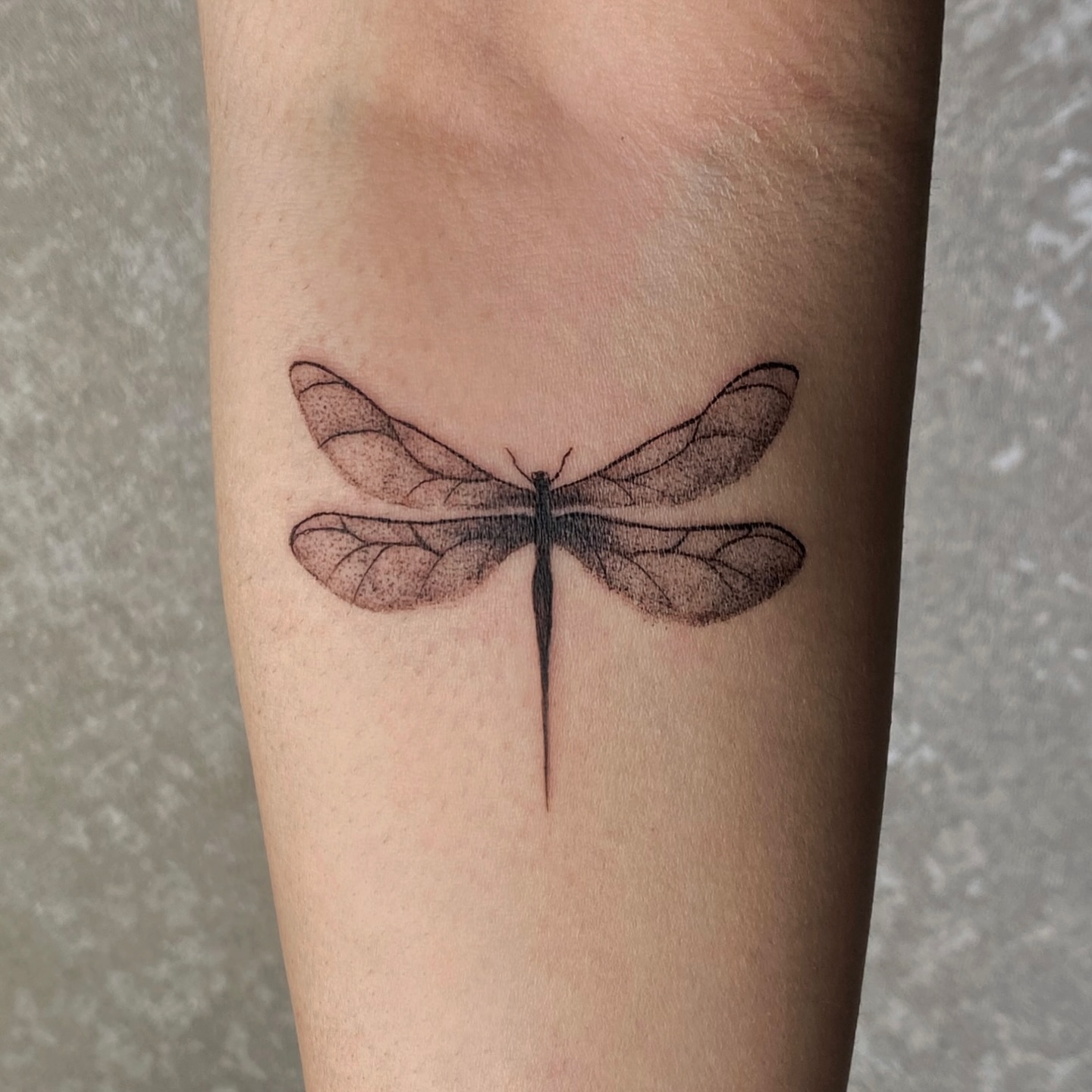 gradient-dragonfly