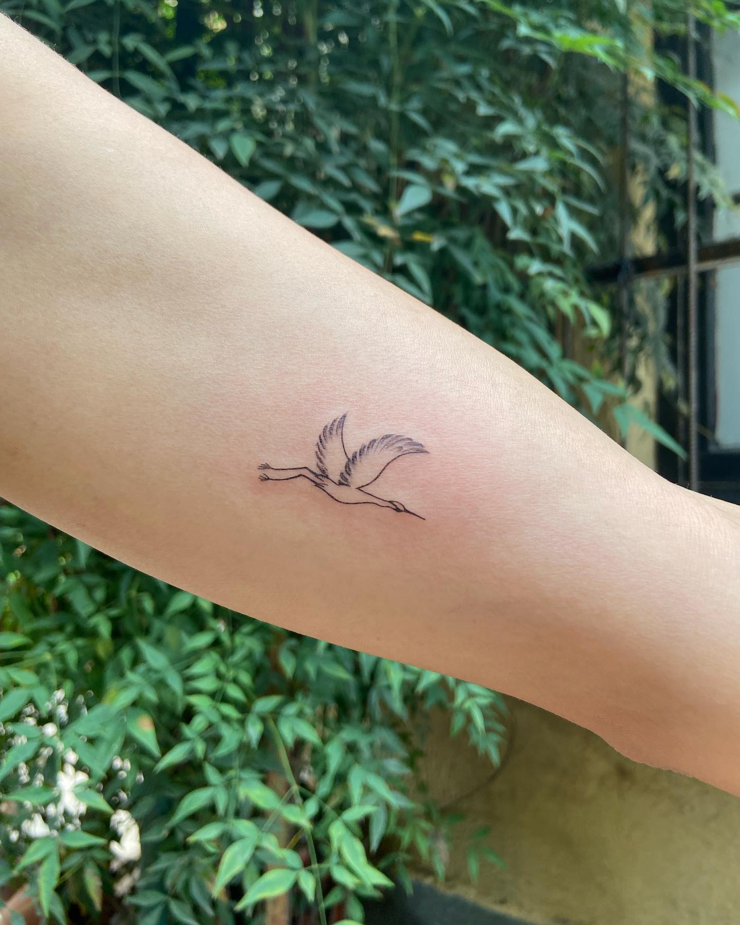 crane-tattoo