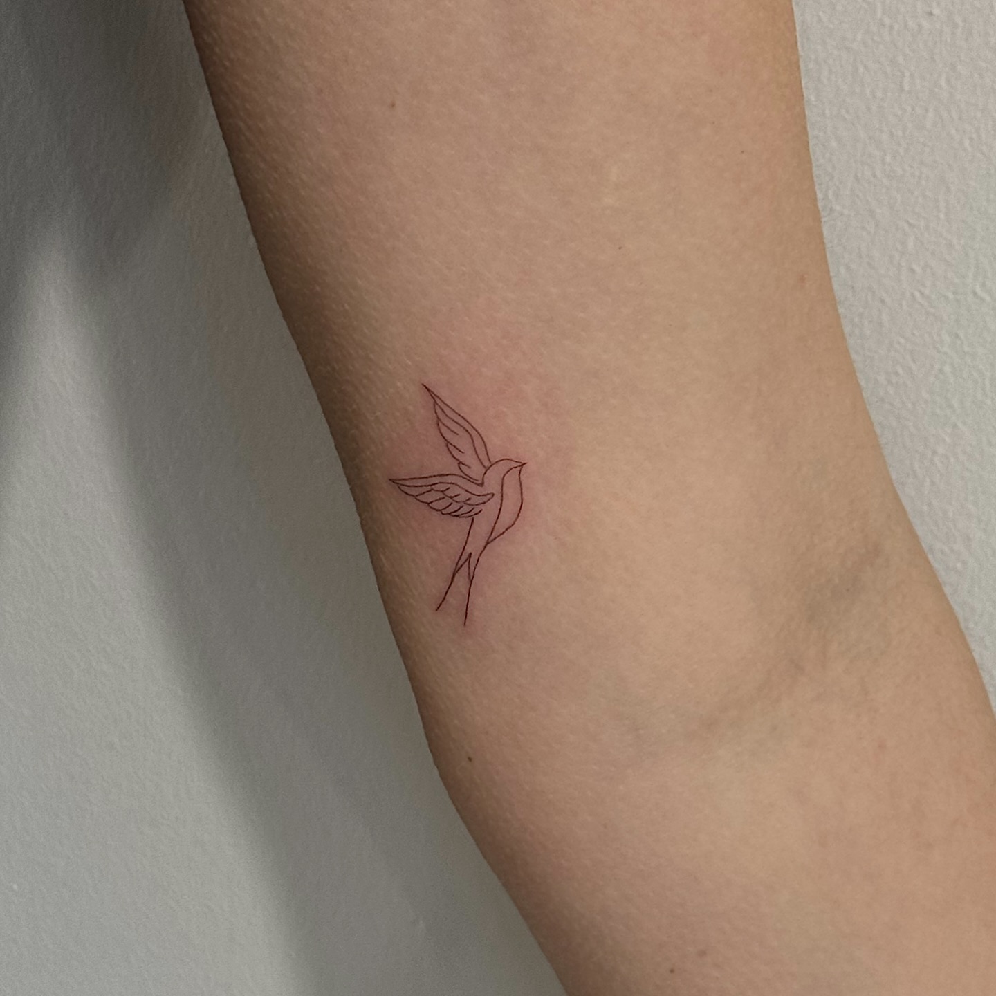 fineline-bird-tattoo