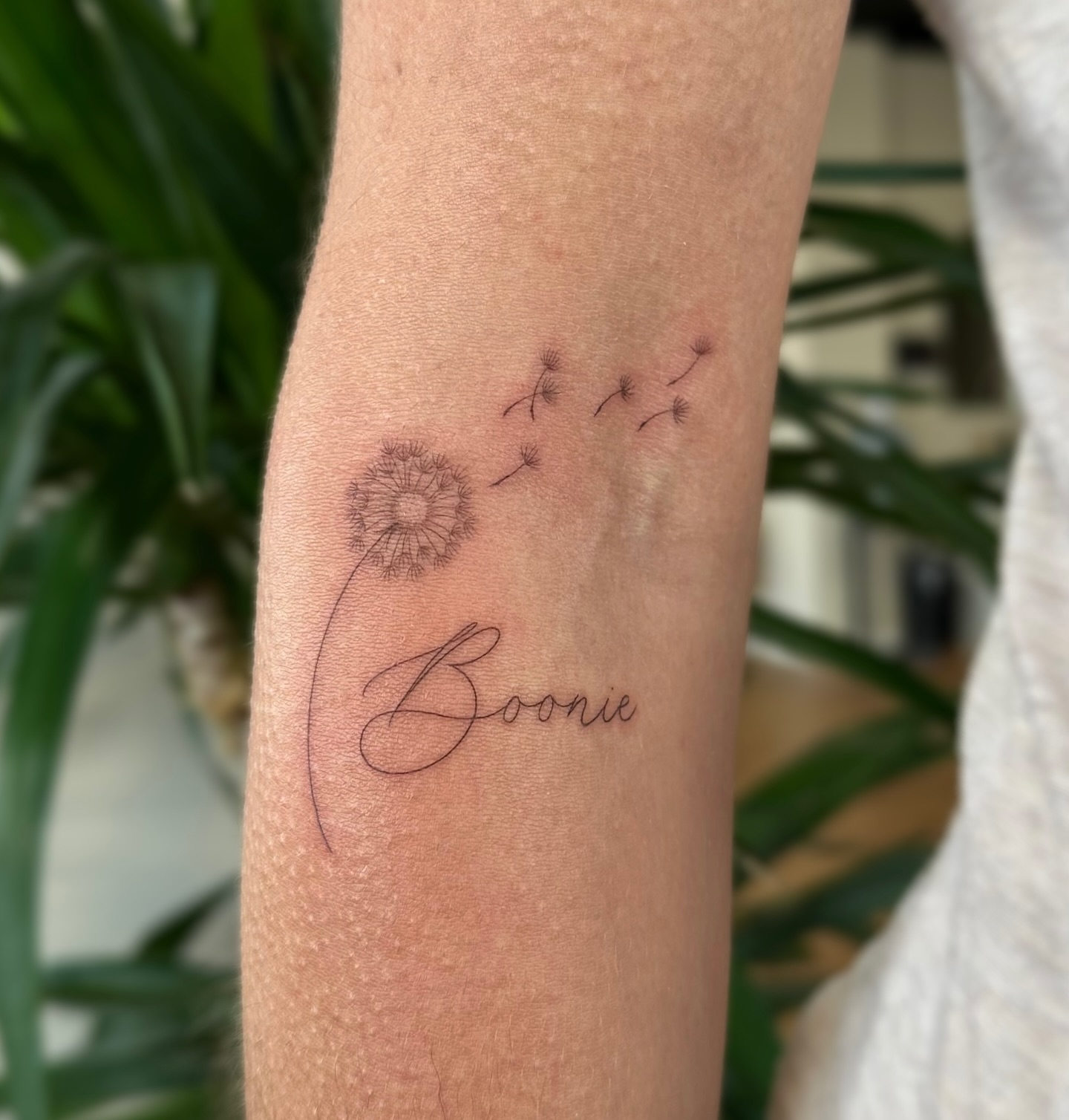 dandelion-with-name-memory-tattoo