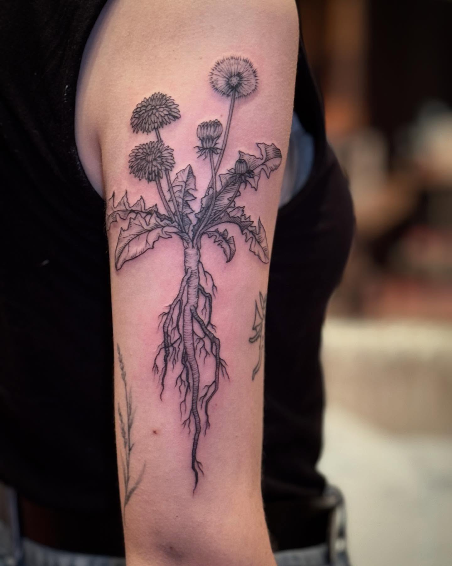 dandelion tattoo as per convention tradition