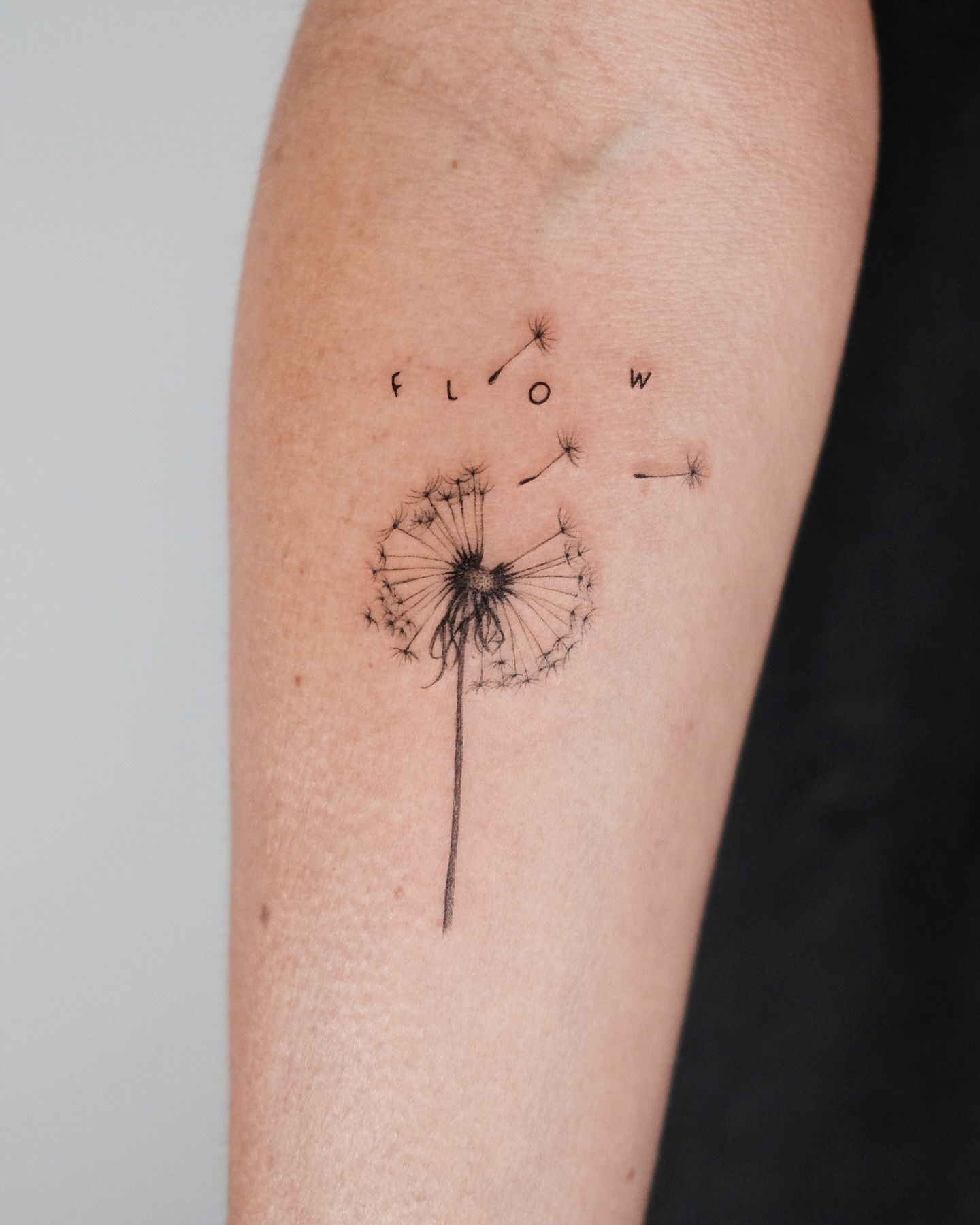 dandelion-with-word-Flow