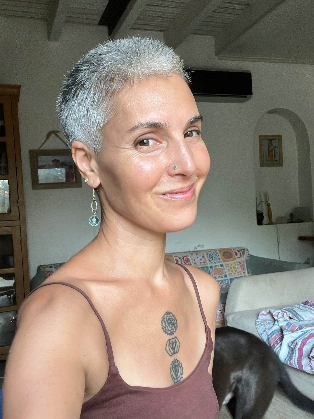 gray-pixie