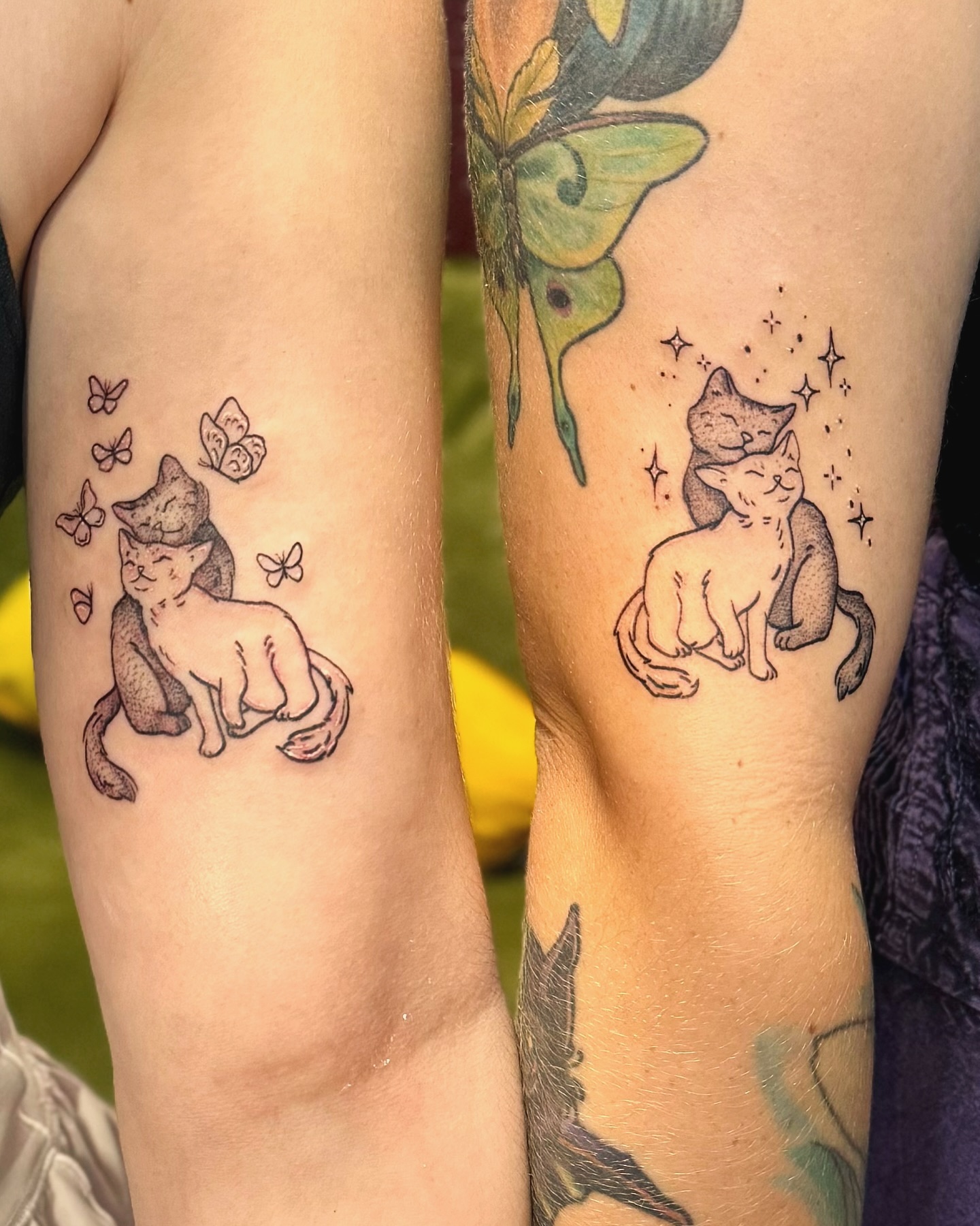 cat-matching-tattoo