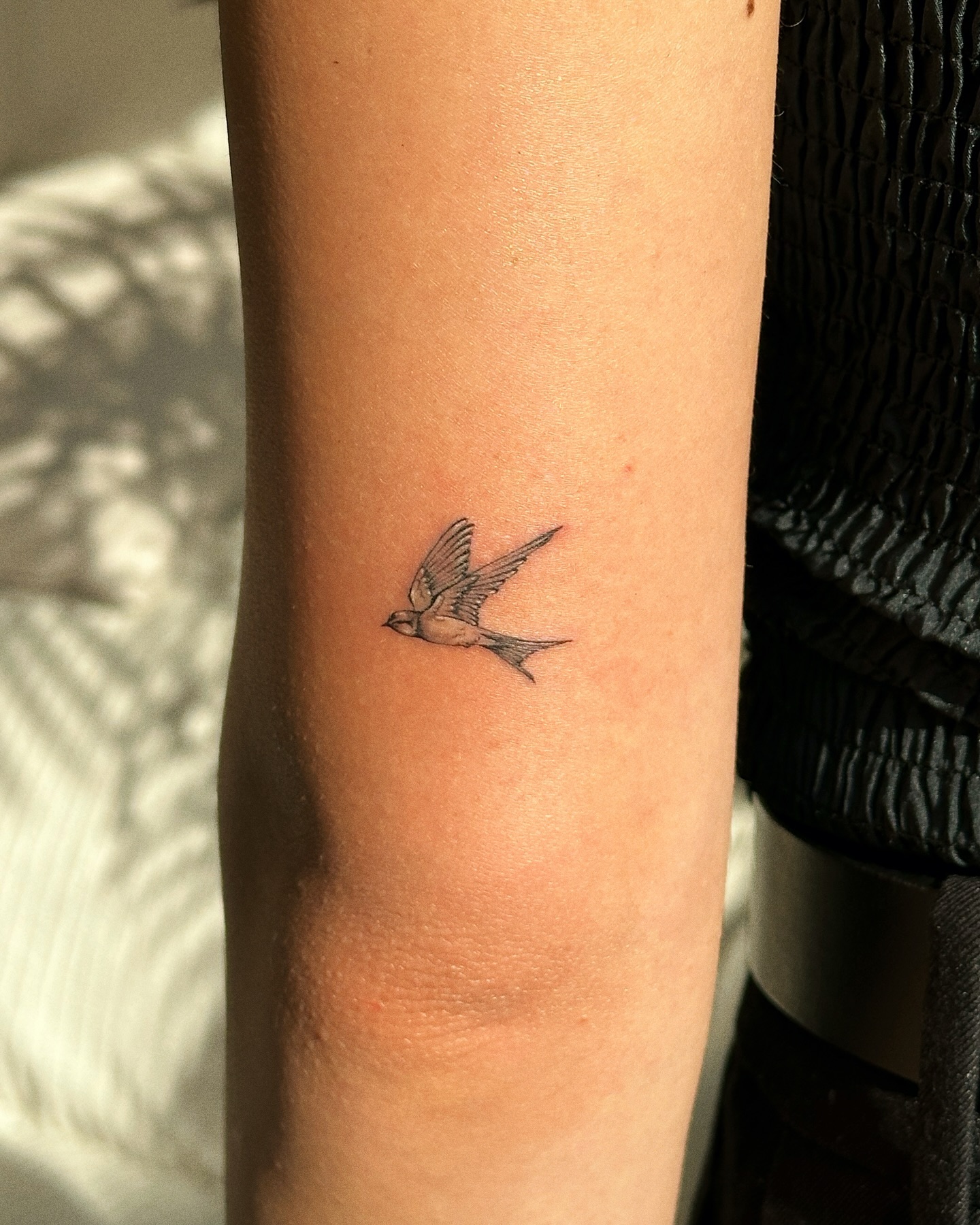 sparrow-on-arm