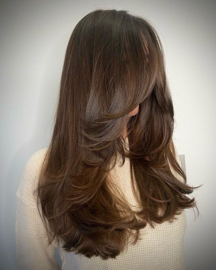 layered-dark-brown-hair