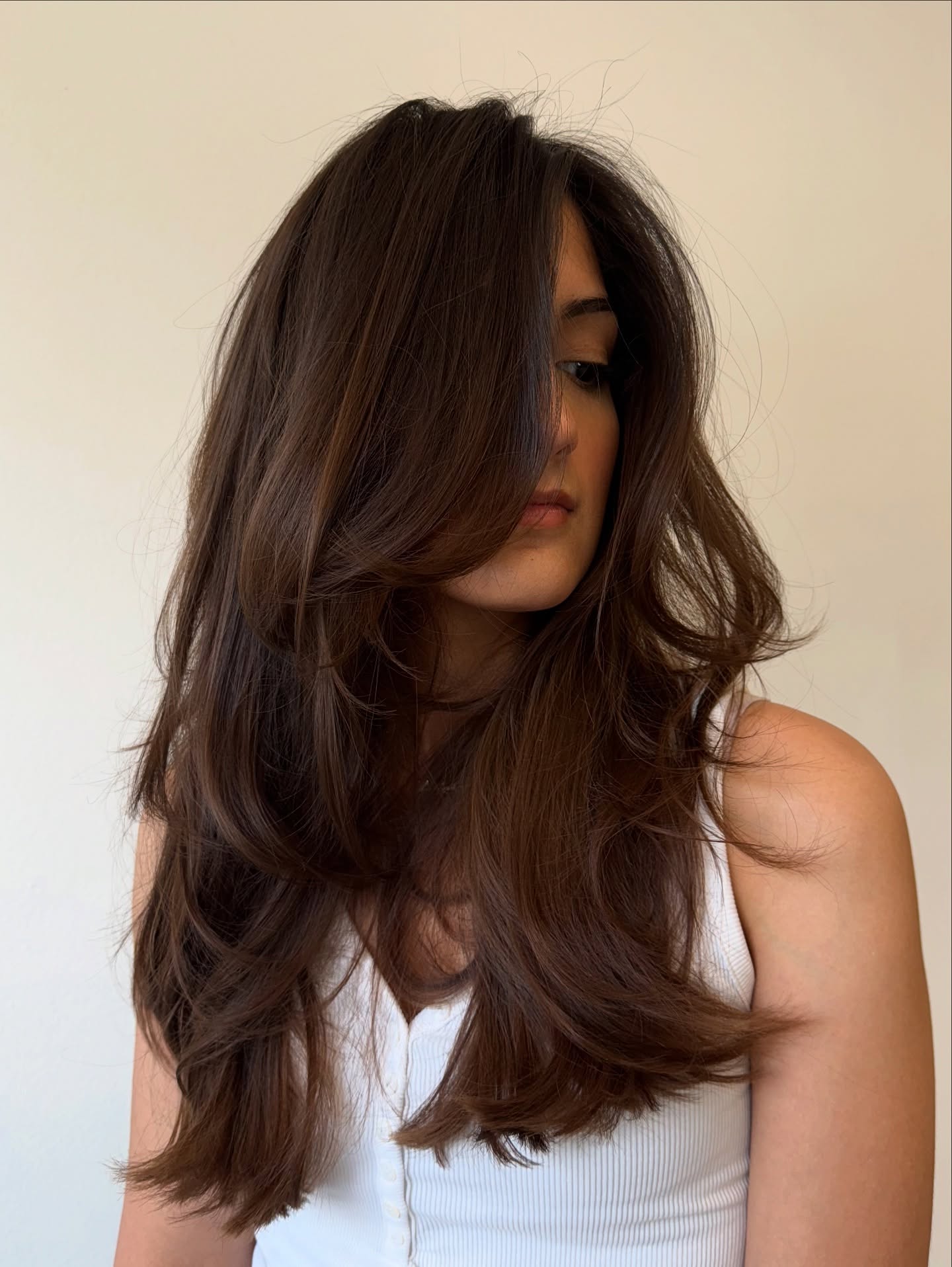 light-brown-fine-hair