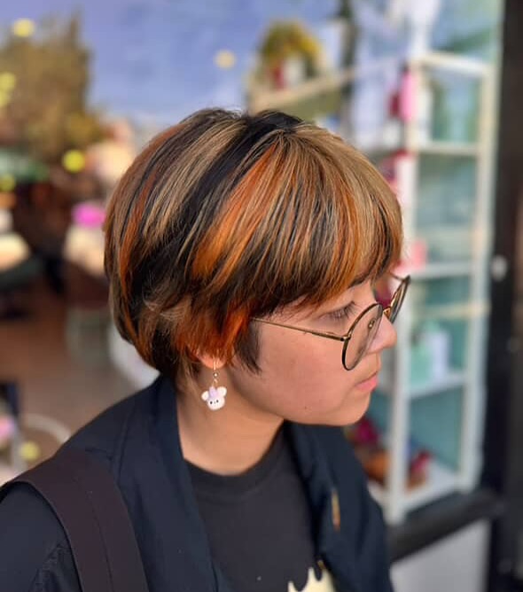 sunset-calico-bob