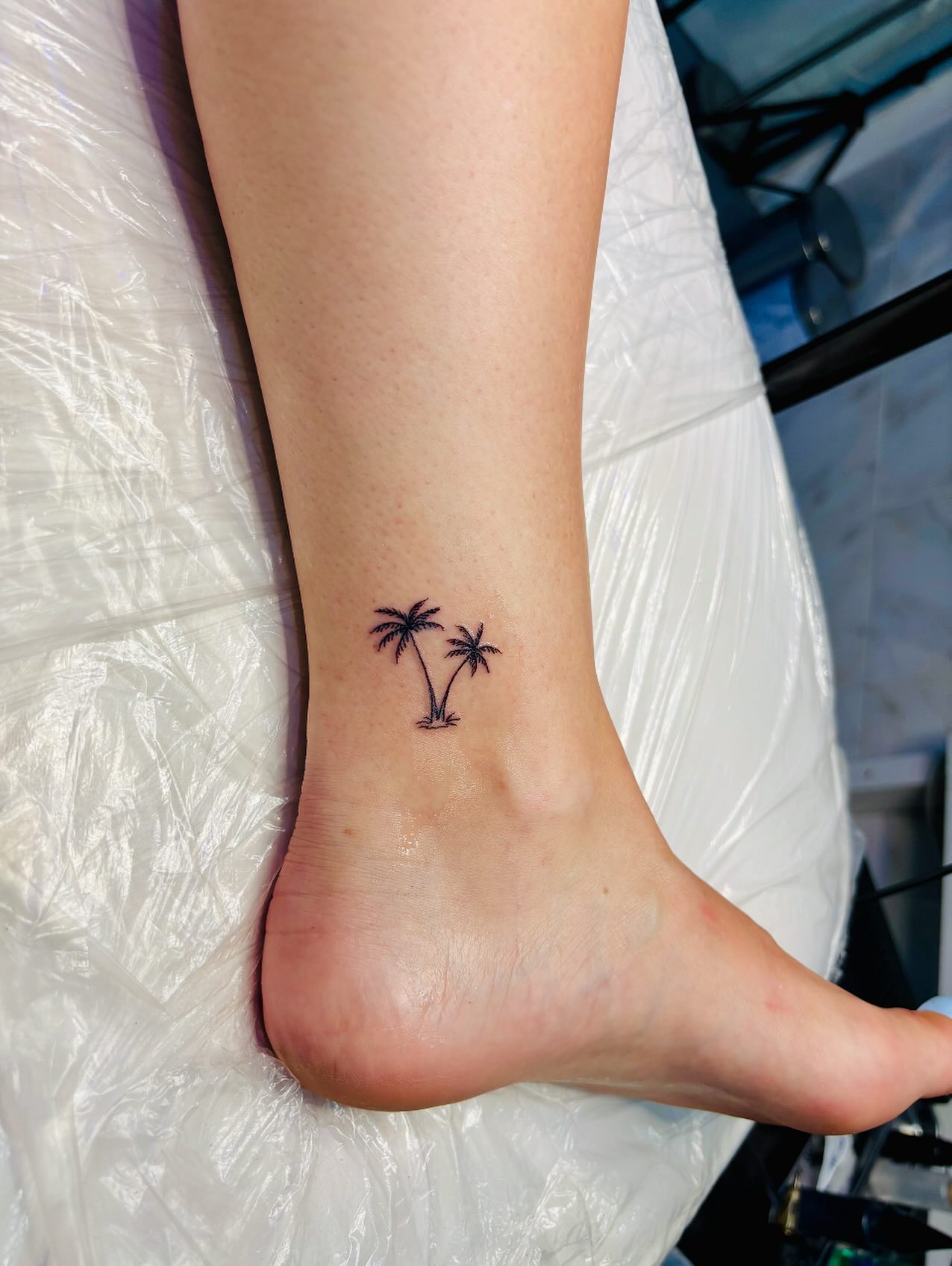 palm-tree-tattoo