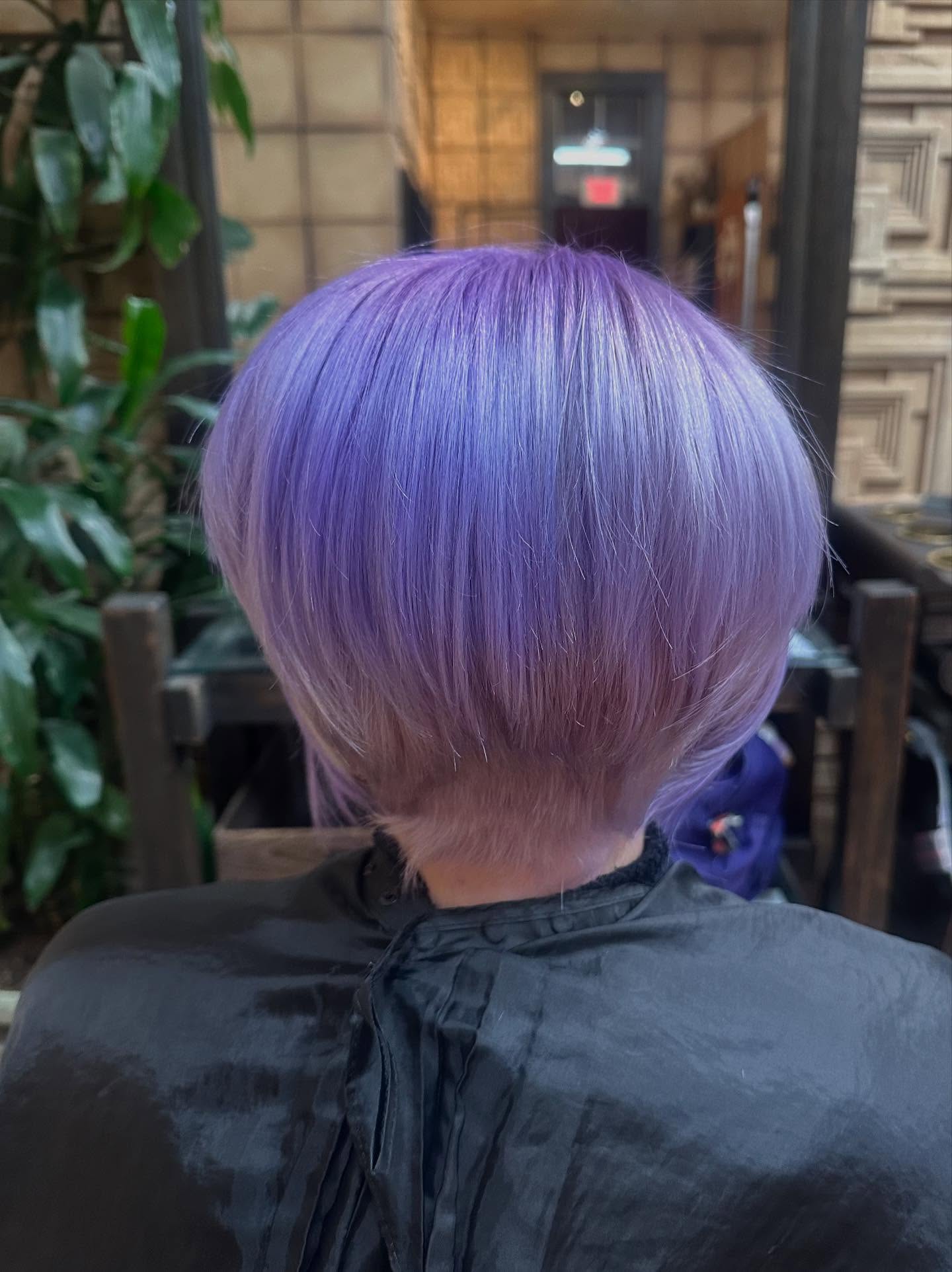 purple-bob