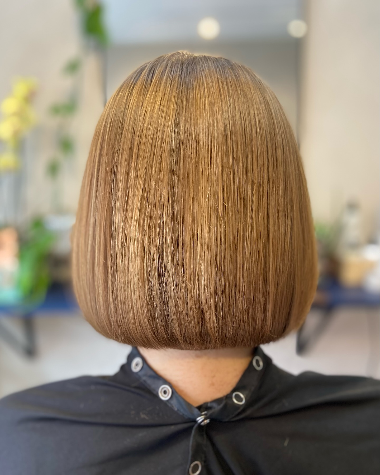 brown-bob