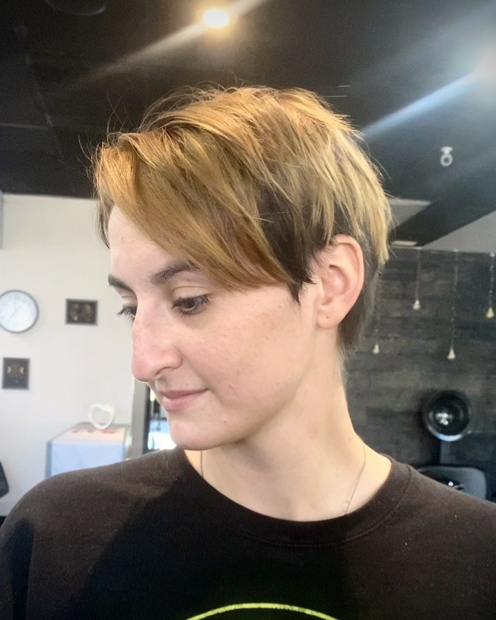 layered-pixie