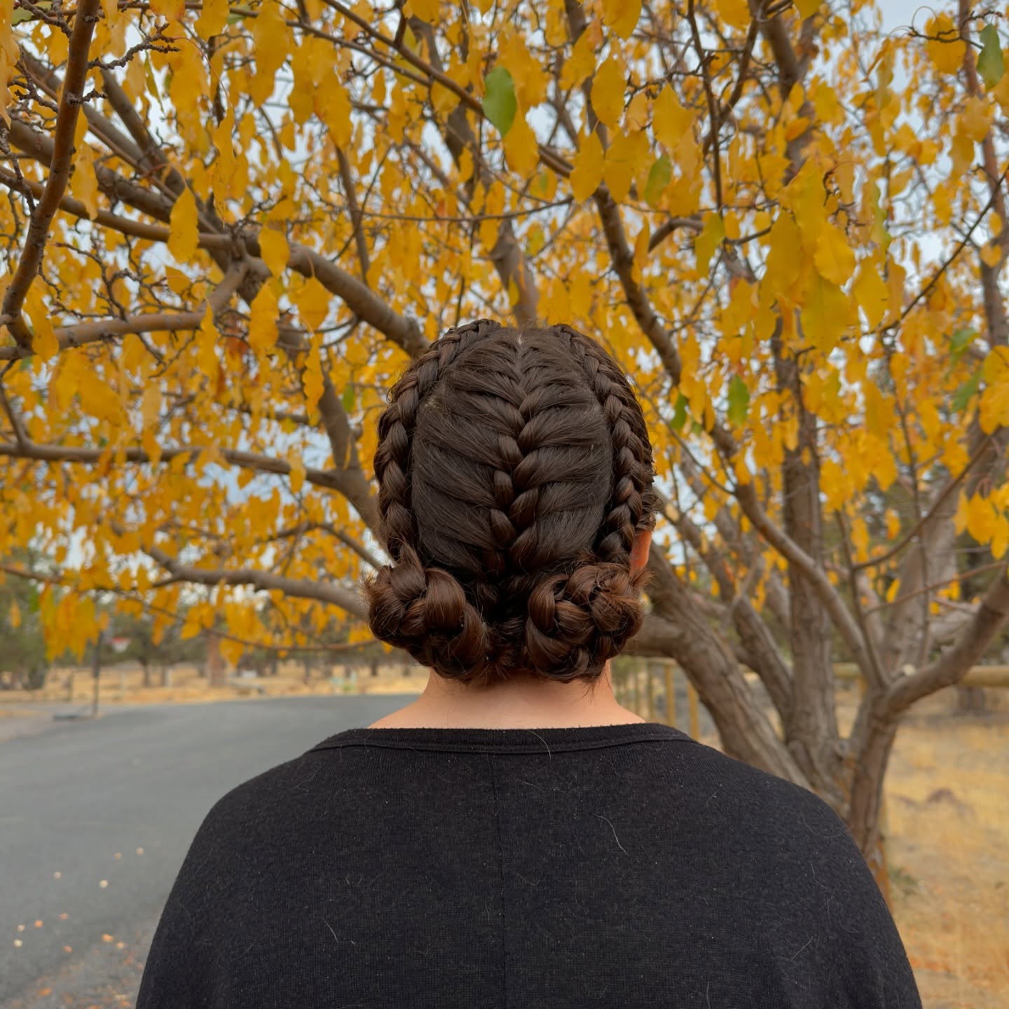 dutch-crown-braid