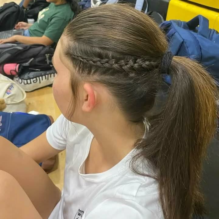 braided-pony