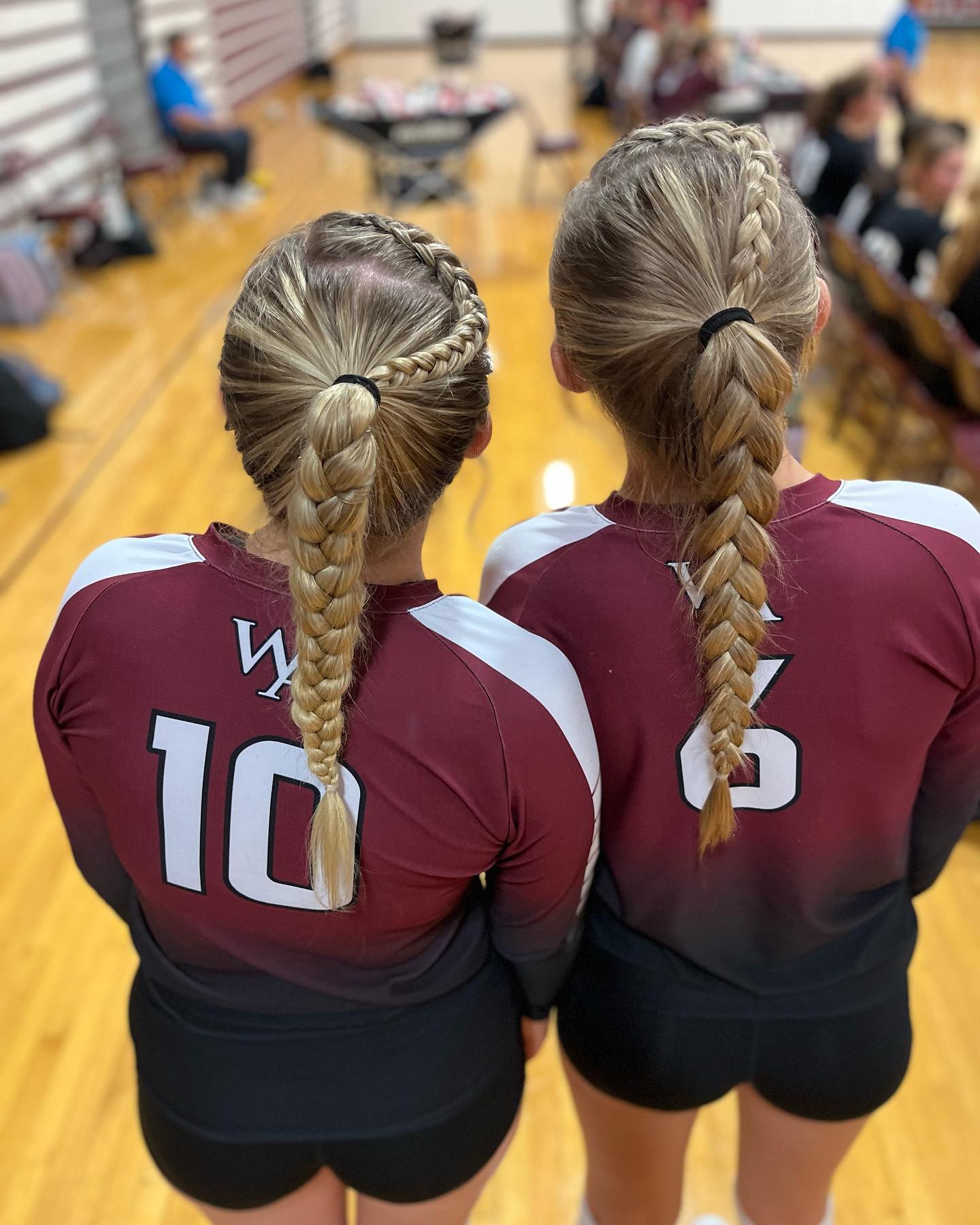braided-pony