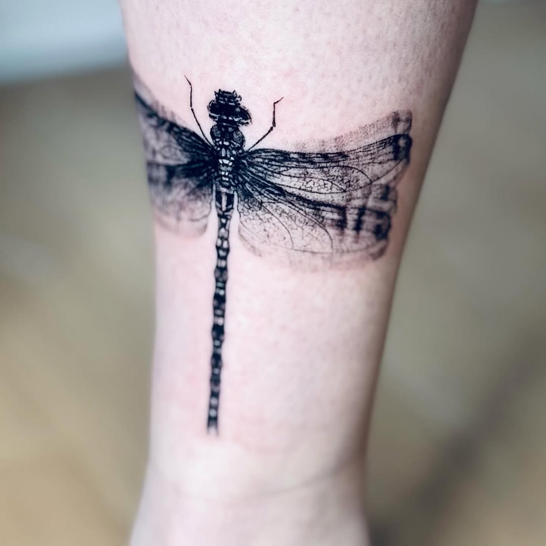 474713943_18050441603131756_6228609692938985231_n