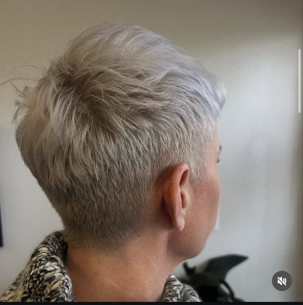 textured-gray-pixie
