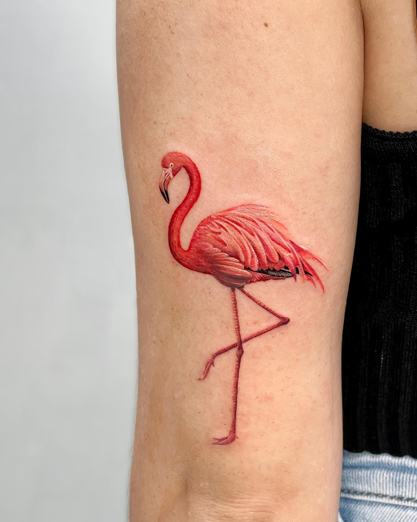 flamingo-tattoo