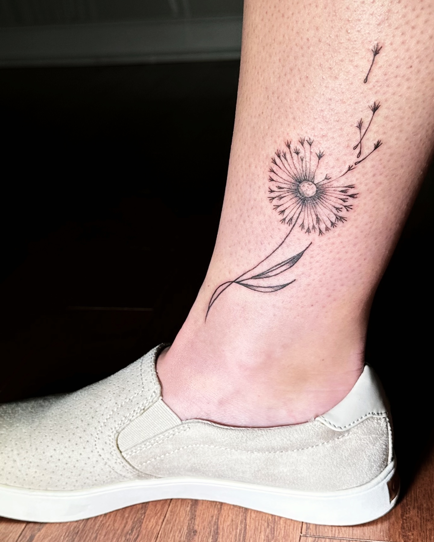 dandelion-on-leg-medium-size