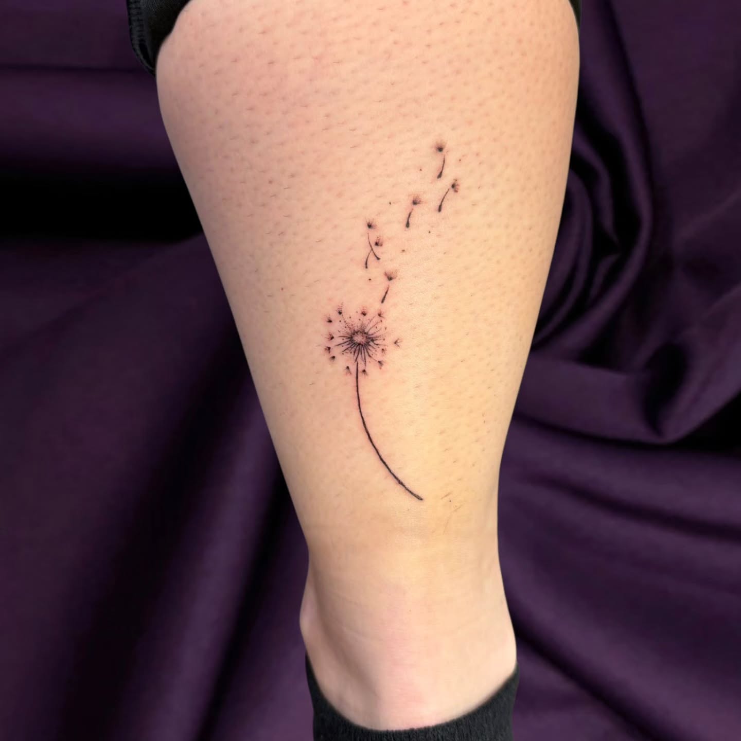 fine-line-dandelion-tattoo-on-leg