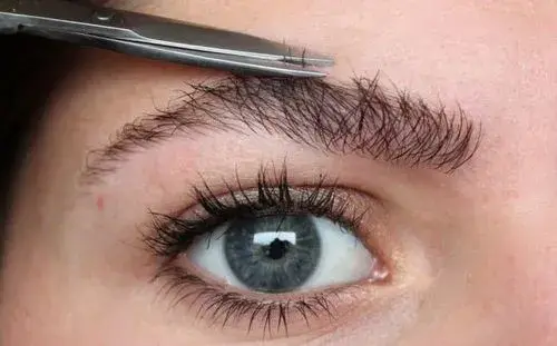 Brow trimming