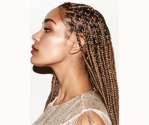 55 Most Popular Box Braids Hairstyles Of 2023