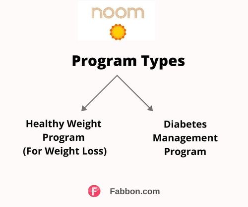 Noom-types of programs