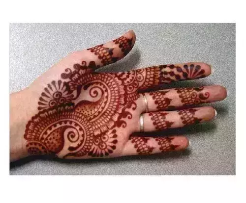 Premium Photo | Beautiful henna design on the hands of a woman